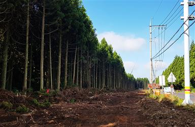 [장정일 칼럼] 평범한 사람들이 만들게 될 법