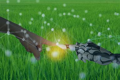 [아침을 열며] 인간과 AI 중 누가 더 작물을 잘 기를까?